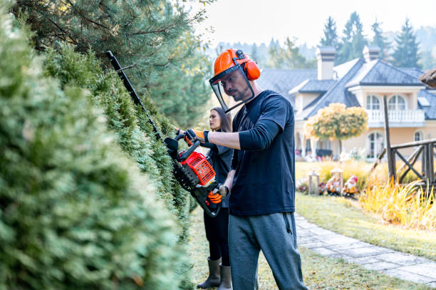 Encore Landscape Service building
